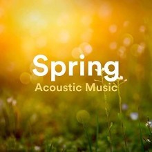 Spring Acoustic Music (2021) торрент