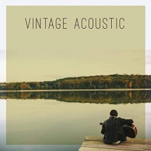 Vintage Acoustic (2021) торрент