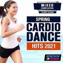 Spring Cardio Dance Hits 2021 (2021) торрент