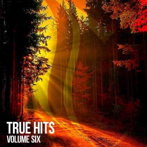 True Hits Vol 6 (2021) торрент