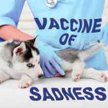 Vaccine of Sadness (2021) торрент