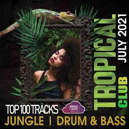 Tropical Jungle Club (2021) торрент