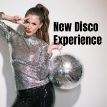 New Disco Experience (2021) торрент