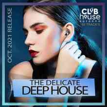 The Delicate Deep House (2021) торрент