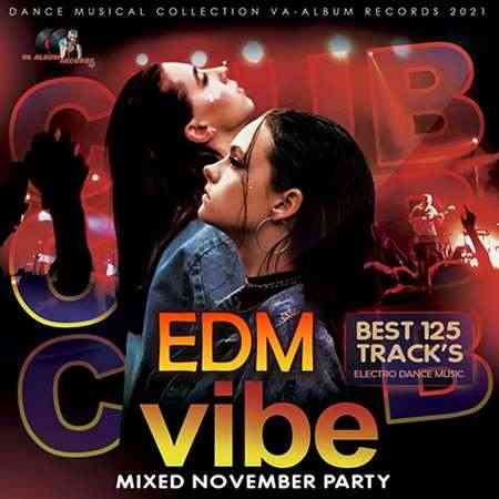 EDM Vibe: November Set