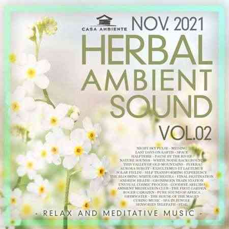 Herbal Ambient Sound [Vol.02] (2021) торрент