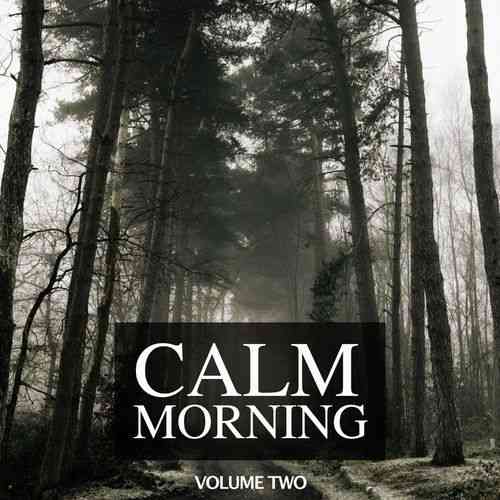 Calm Morning, Vol. 2 (2022) торрент