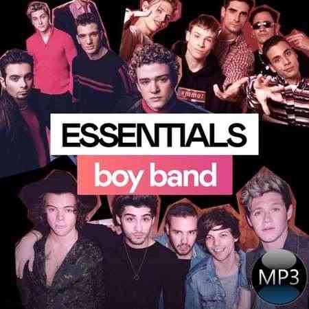 Boy Band Essentials (2022) торрент