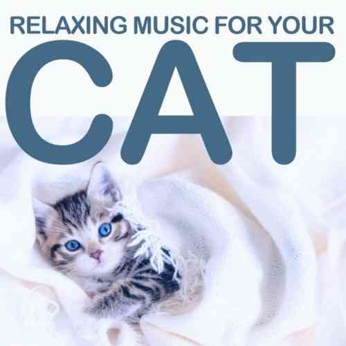 Relaxing Music for Your Cat (2021) торрент