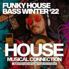 Funky House Bass Winter (2022) торрент