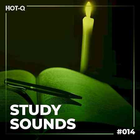 Study Sounds 014 (2022) торрент