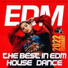 The Best In EDM: Dance House Mixtape (2022) торрент