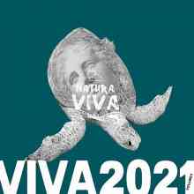 Viva 2021.4 (2022) торрент
