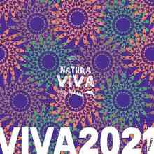 Viva 2021.3 (2022) торрент
