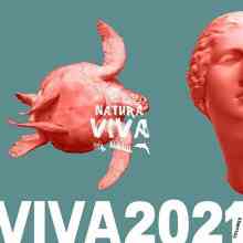 Viva 2021.2 (2022) торрент