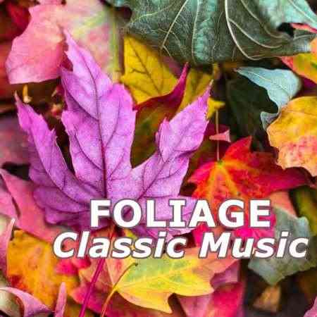 Foliage Classic Music (2022) торрент