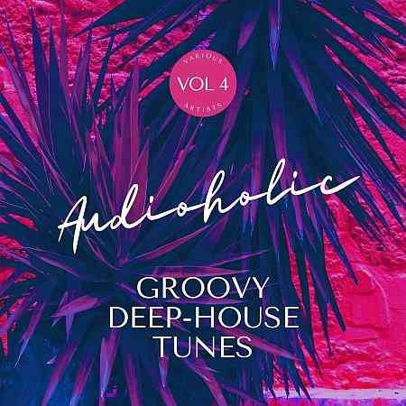Audioholic (Groovy Deep-House Tunes), Vol. 4 (2022) торрент