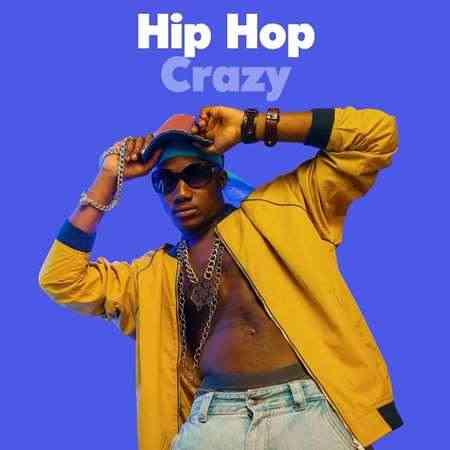 Hip Hop Crazy (2022) торрент