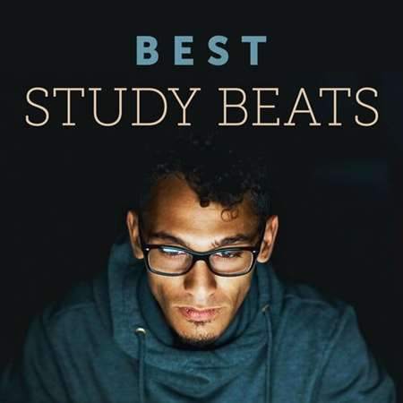 Best Study Beats (2022) торрент