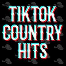 TikTok Country Hits (2022) торрент
