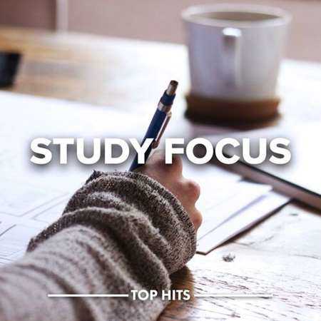 Study Focus (2022) торрент
