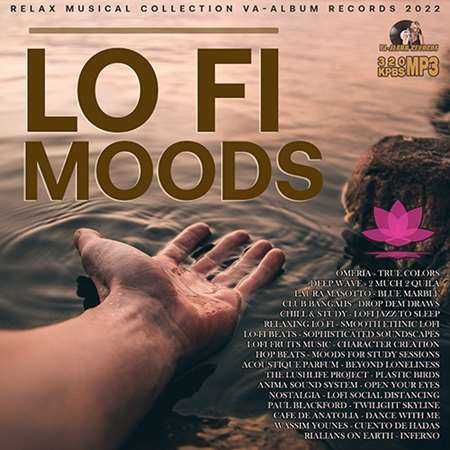 Lo-Fi Moods (2022) торрент