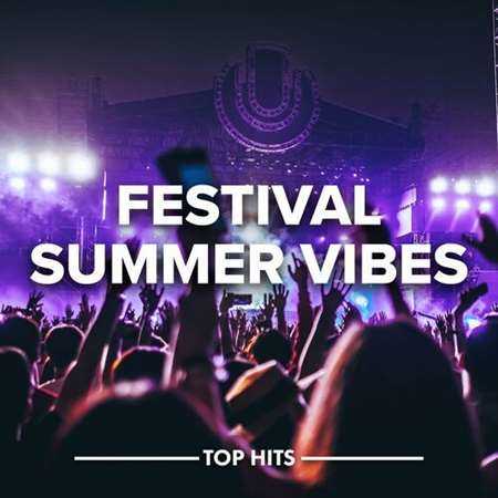 Festival Summer Vibes (2022) торрент