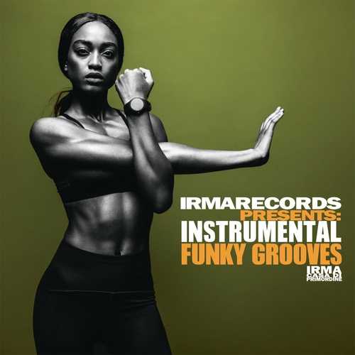Instrumental Funky Grooves (2022) торрент