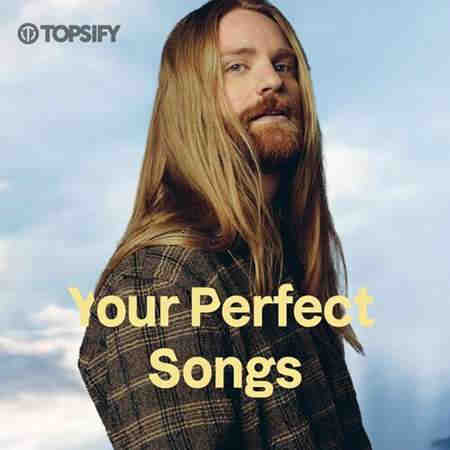 Your Perfect Songs (2022) торрент