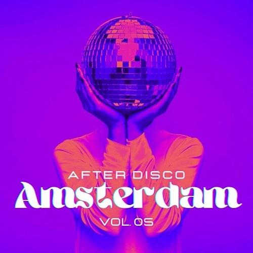 Amsterdam After Disco Vol. 5 (2022) торрент