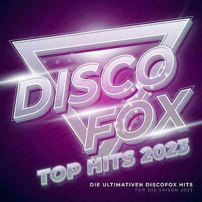 Discofox Top Hits 2023 (2023) торрент