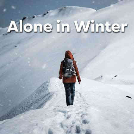 Alone In Winter (2022) торрент