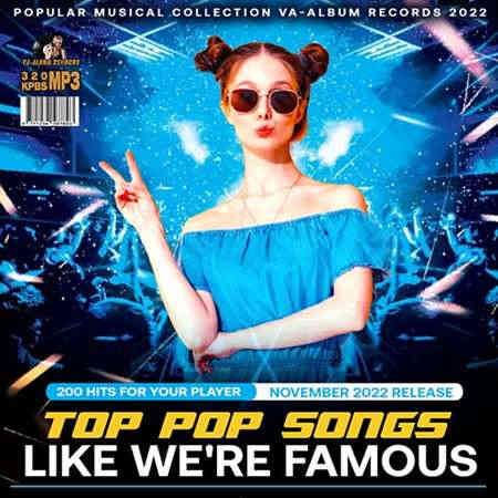 Like Were Famous: Pop Songs (2022) торрент