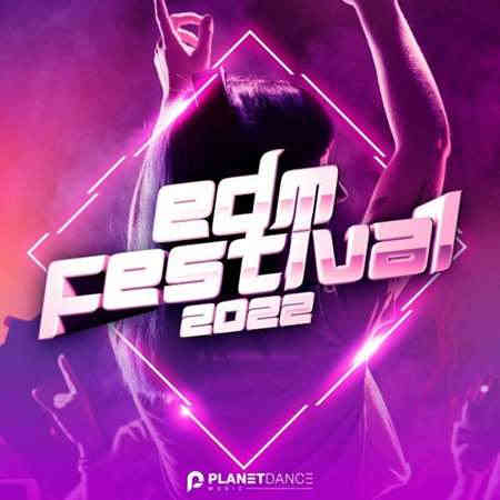 EDM Festival (2022) торрент