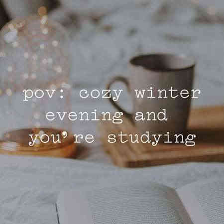 pov: cozy winter evening and you’re studying (2022) торрент