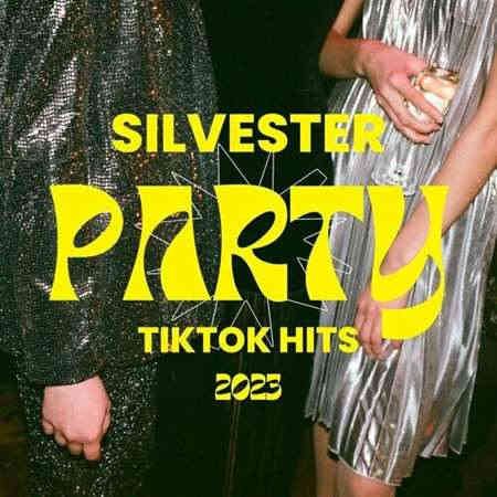 Silvester Party TikTok Hits 2023 (2023) торрент