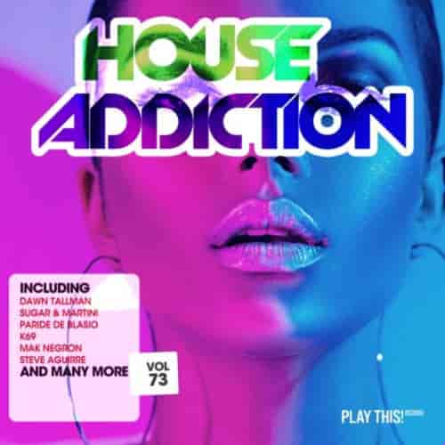 House Addiction, Vol. 73 (2022) торрент