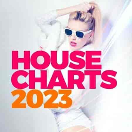 House Charts 2023 (2023) торрент