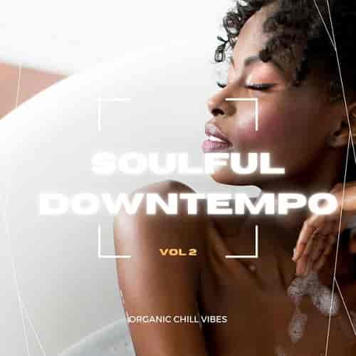 Soulful Downtempo Vol. 2