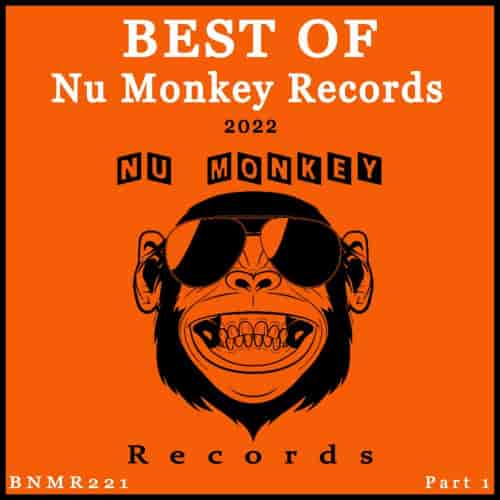 Best Of Nu Monkey Records 2022, Pt. 1 (2022) торрент