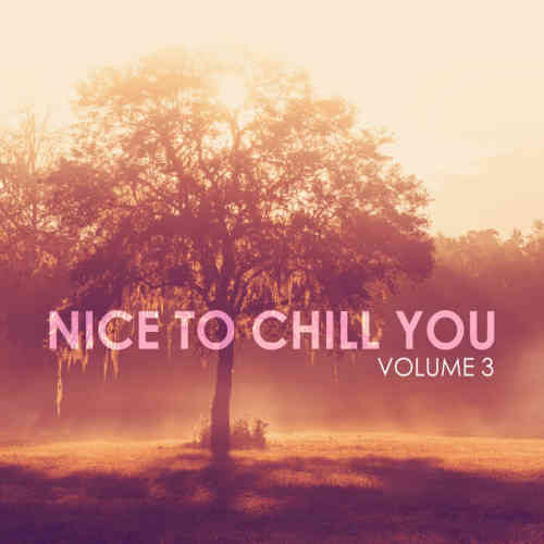 Nice To Chill You, Vol. 3 (2023) торрент