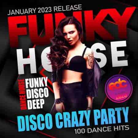 Funky House: Disco Crazy Party (2023) торрент