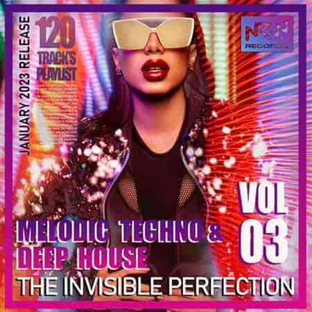 The Invisible Perfection Vol.03 (2023) торрент