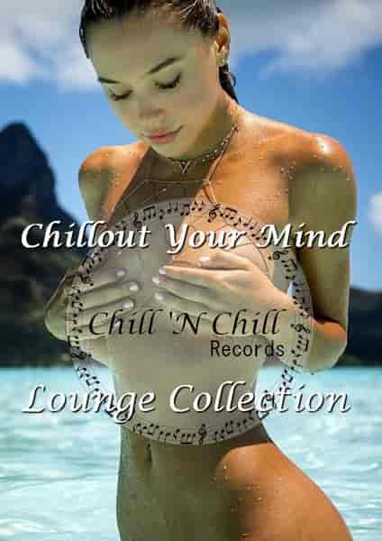 Chill 'N Chill: Collection 2017-2023 (2023) торрент
