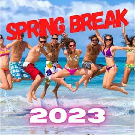 Spring Break (2023) торрент