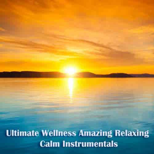 Ultimate Wellness Amazing Relaxing Calm Instrumentals