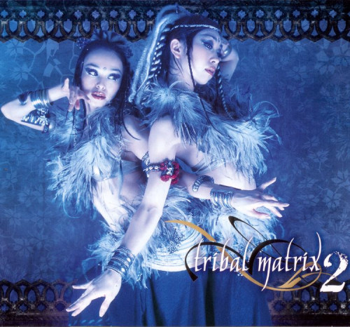 Tribal Matrix 2 (2009) торрент
