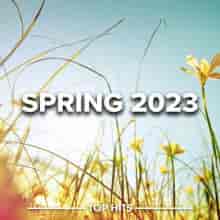 Spring 2023 (2023) торрент