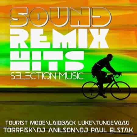 Selection Music Remix Hits Sound 02 (2023) торрент