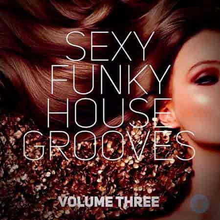 Sexy Funky House Grooves Volume Three (2023) торрент